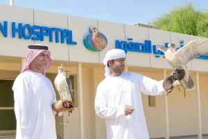 Abu Dhabi Falcon Hospital Tour