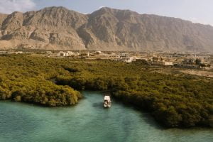 Ras Al Khaimah Guided City Tour from Abu Dhabi