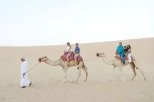 Abu Dhabi Morning Desert Safari