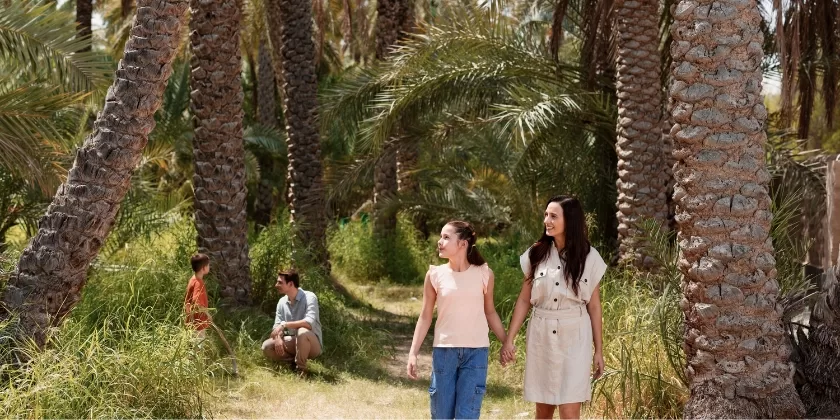 Al Ain Oasis