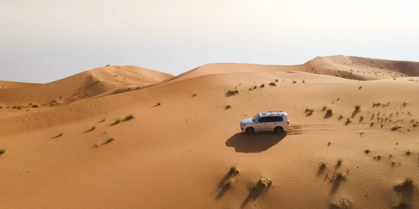 Desert Safari