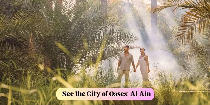 See the City of Oases: Al Ain