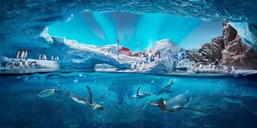 The SeaWorld Abu Dhabi